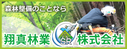 パートナー2